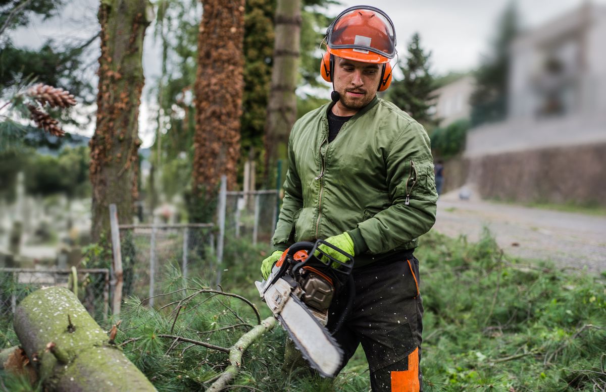 Where do arborists make the most money